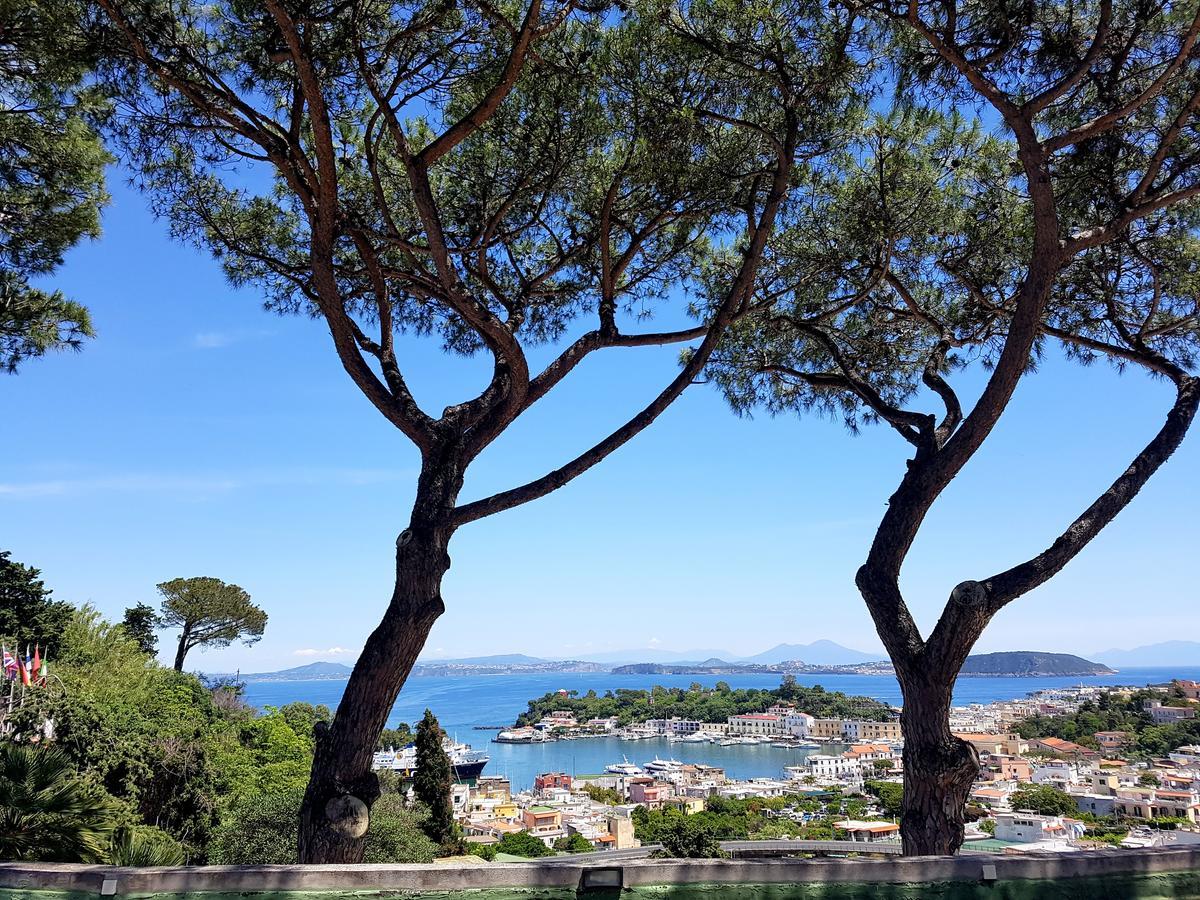 Ischia Dream Visions Leilighet Eksteriør bilde