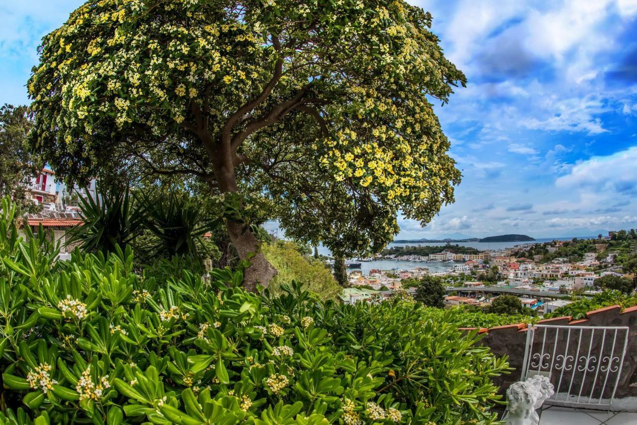 Ischia Dream Visions Leilighet Eksteriør bilde