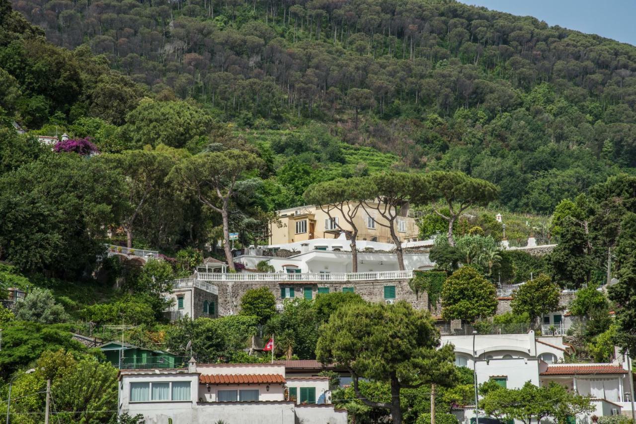 Ischia Dream Visions Leilighet Eksteriør bilde